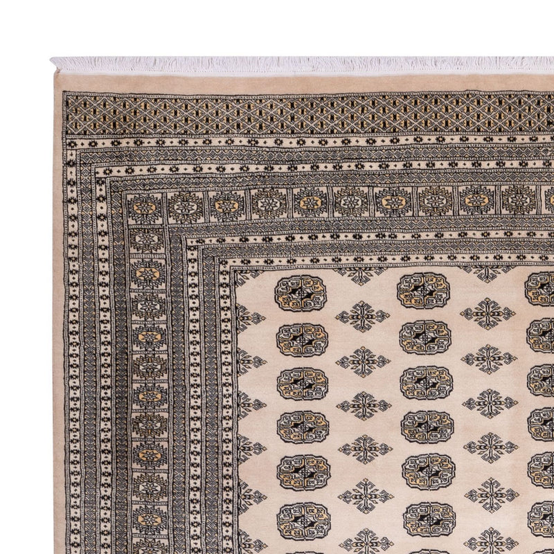 Alfombra afgana - Bukhara - 359 x 278 cm - beige
