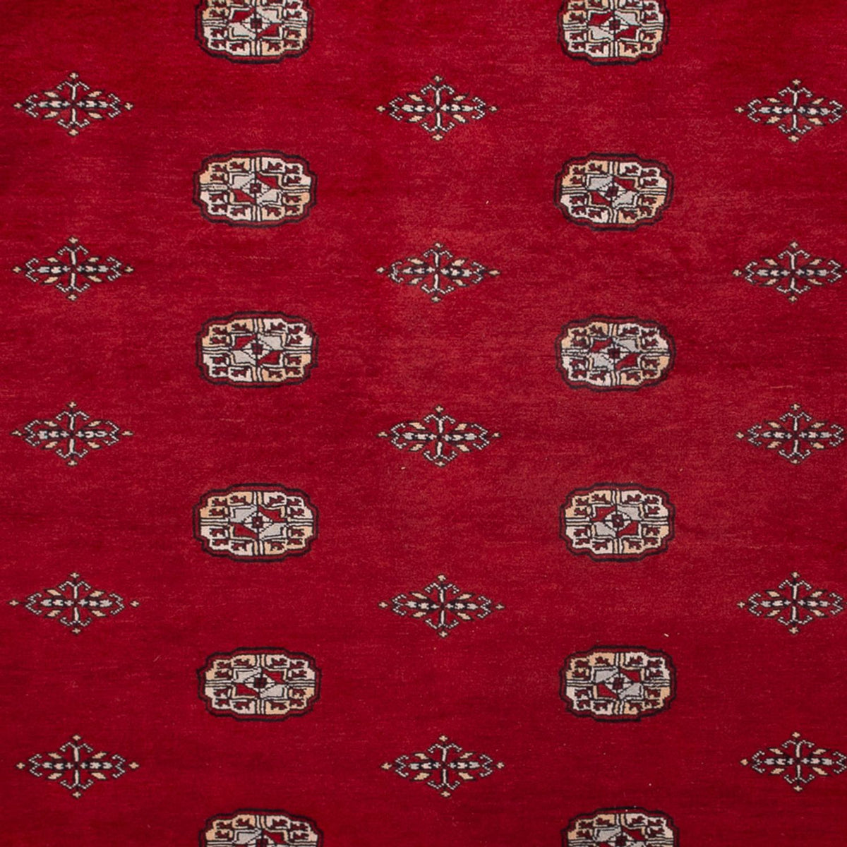 Alfombra afgana - Bukhara - 364 x 283 cm - rojo