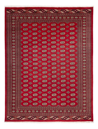 Alfombra afgana - Bukhara - 354 x 275 cm - rojo