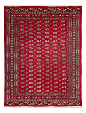 Alfombra afgana - Bukhara - 354 x 275 cm - rojo