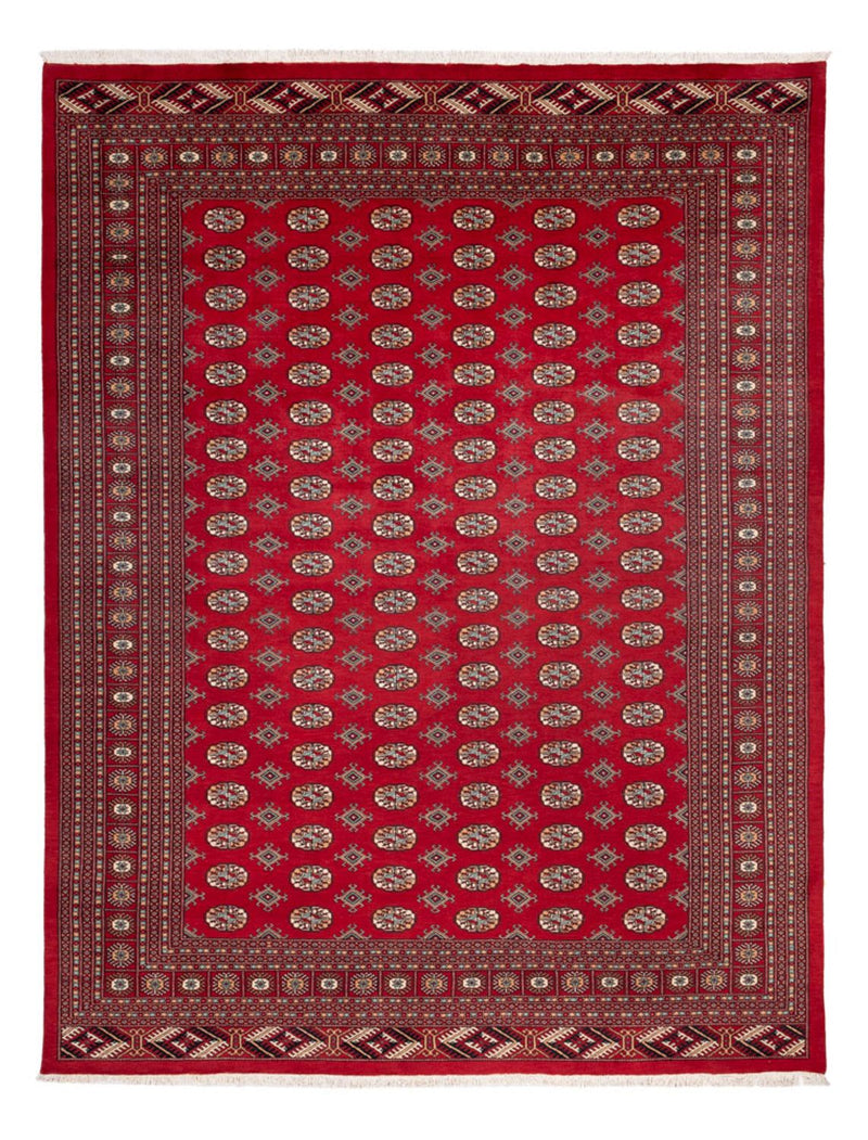 Alfombra afgana - Bukhara - 354 x 275 cm - rojo