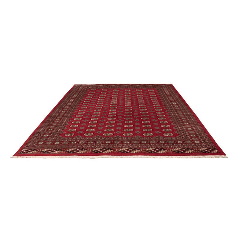 Alfombra afgana - Bukhara - 354 x 275 cm - rojo