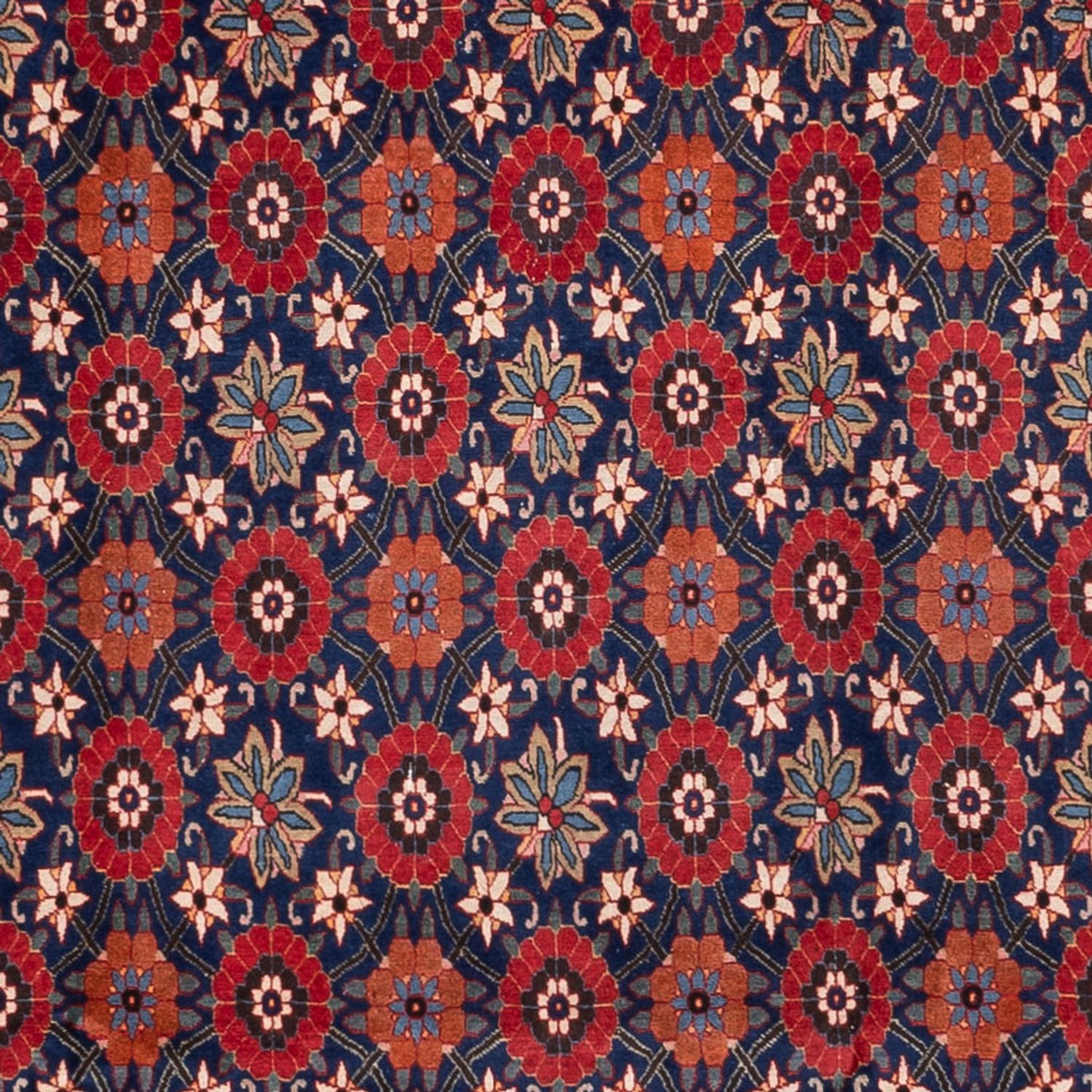 Alfombra persa - Nómada - 338 x 212 cm - multicolor