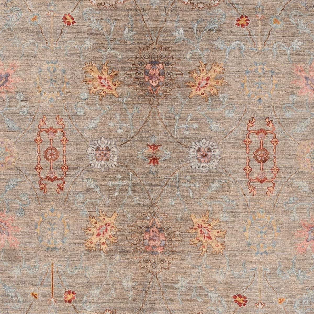 Alfombra Ziegler - Ariana - 376 x 270 cm - beige oscuro