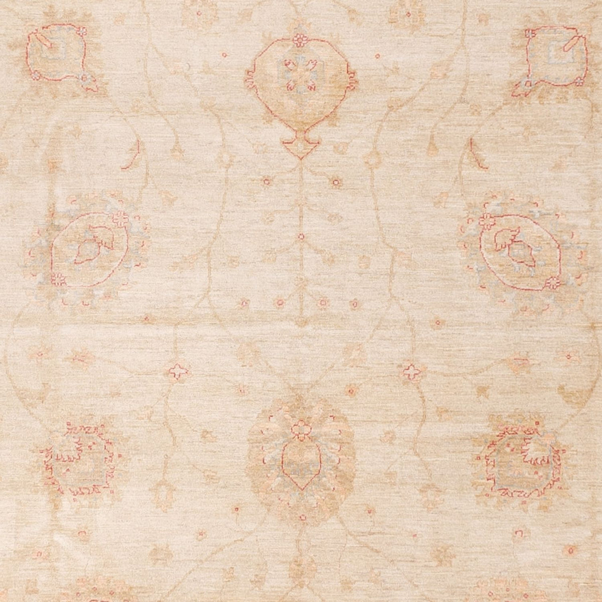 Alfombra Ziegler - 689 x 402 cm - beige