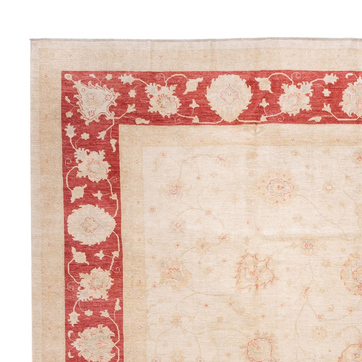 Alfombra Ziegler - 689 x 402 cm - beige