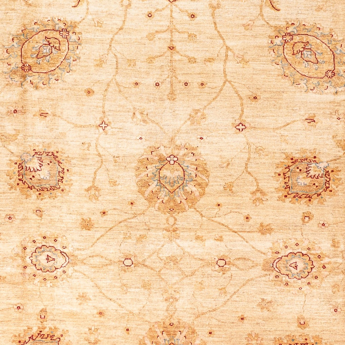 Alfombra Ziegler - 584 x 394 cm - beige