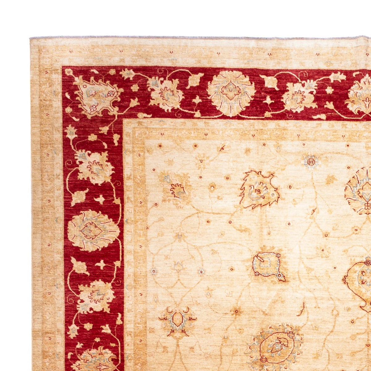 Alfombra Ziegler - 584 x 394 cm - beige