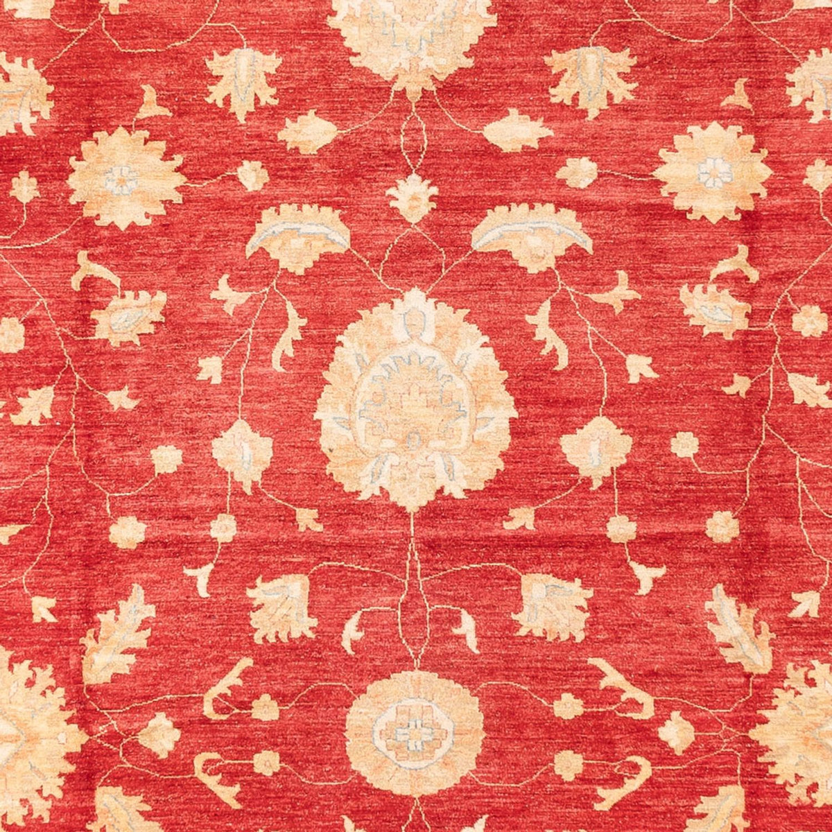Alfombra Ziegler - 686 x 402 cm - rojo