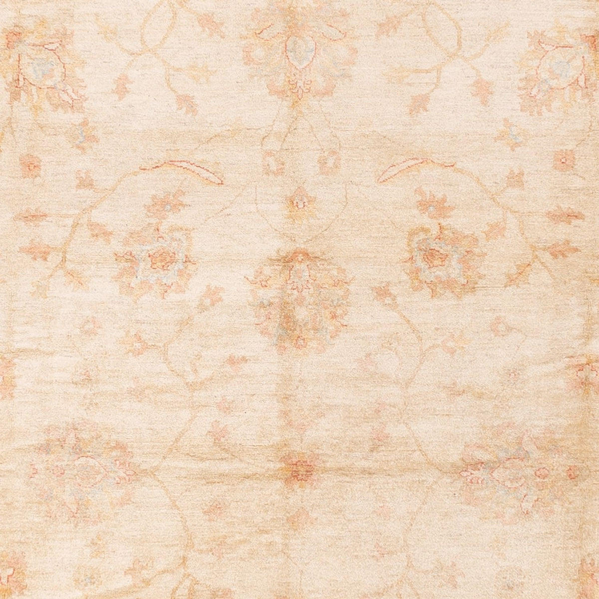 Alfombra Ziegler - 592 x 403 cm - beige