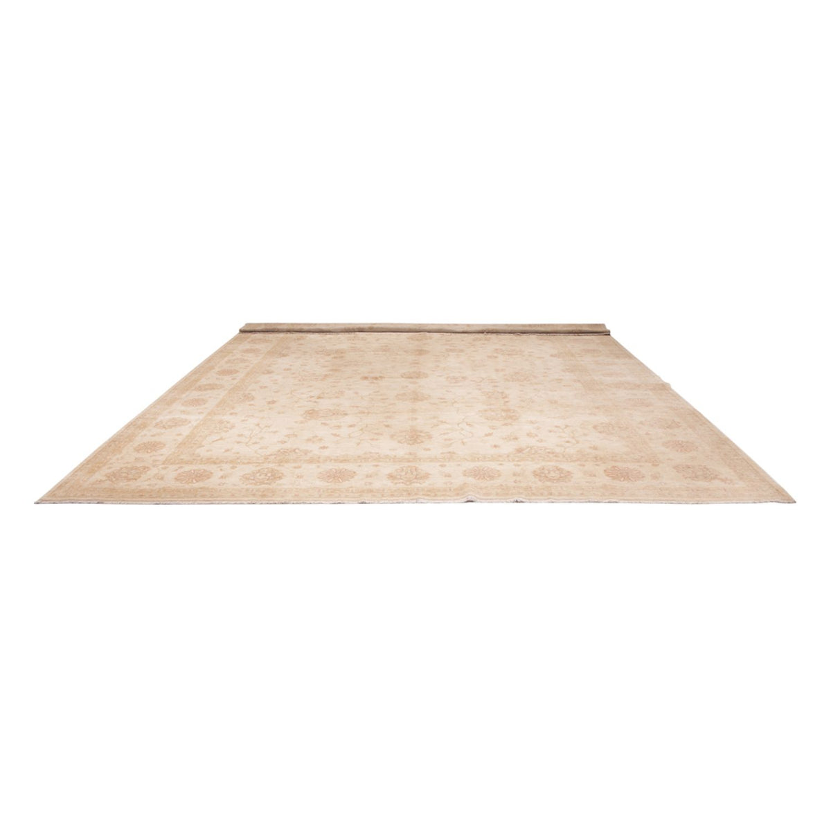 Alfombra Ziegler - 592 x 403 cm - beige