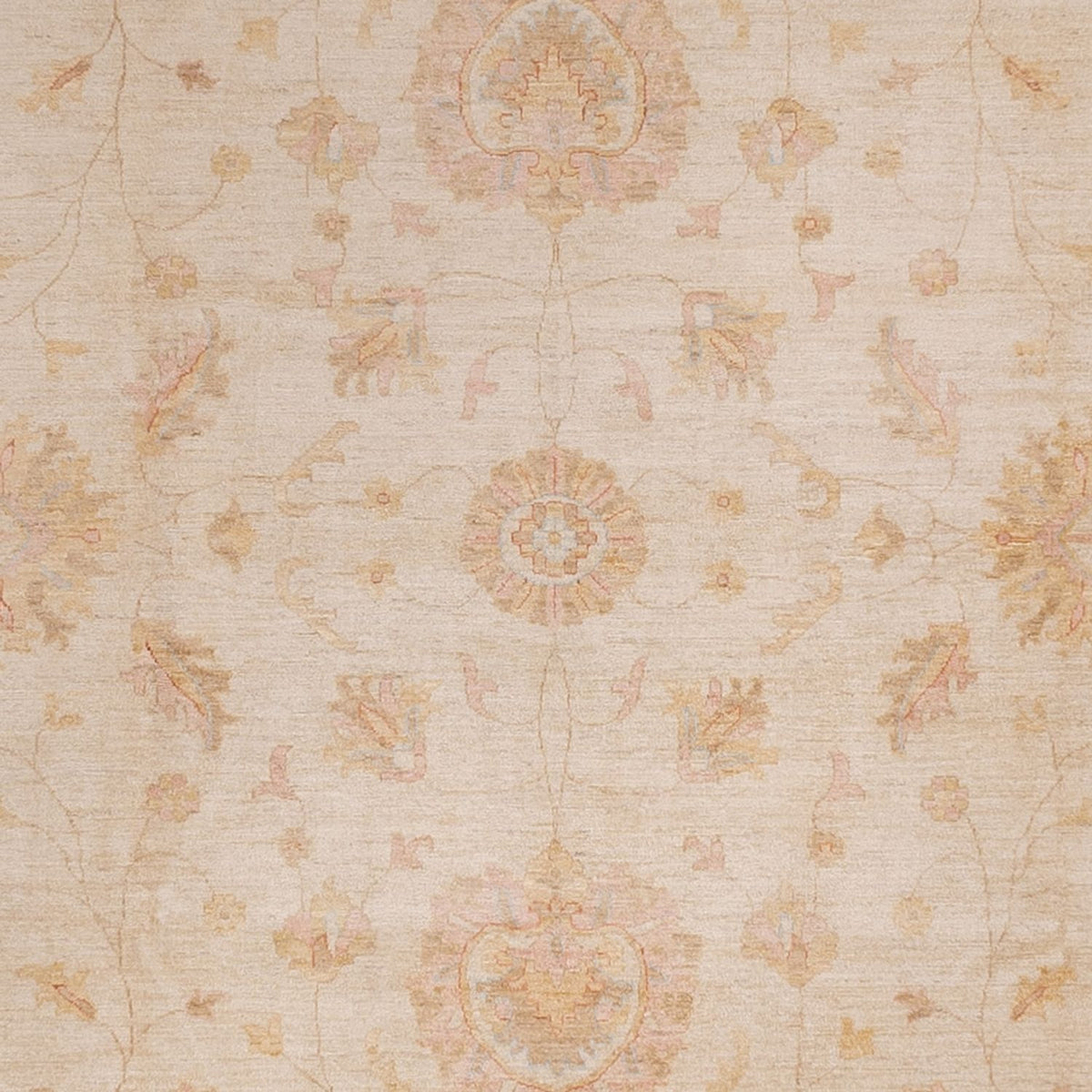 Alfombra Ziegler - 490 x 357 cm - beige