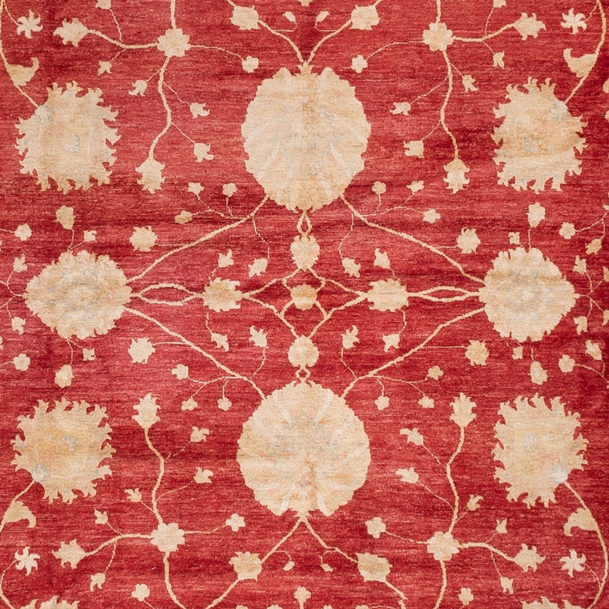 Alfombra Ziegler - 521 x 400 cm - beige