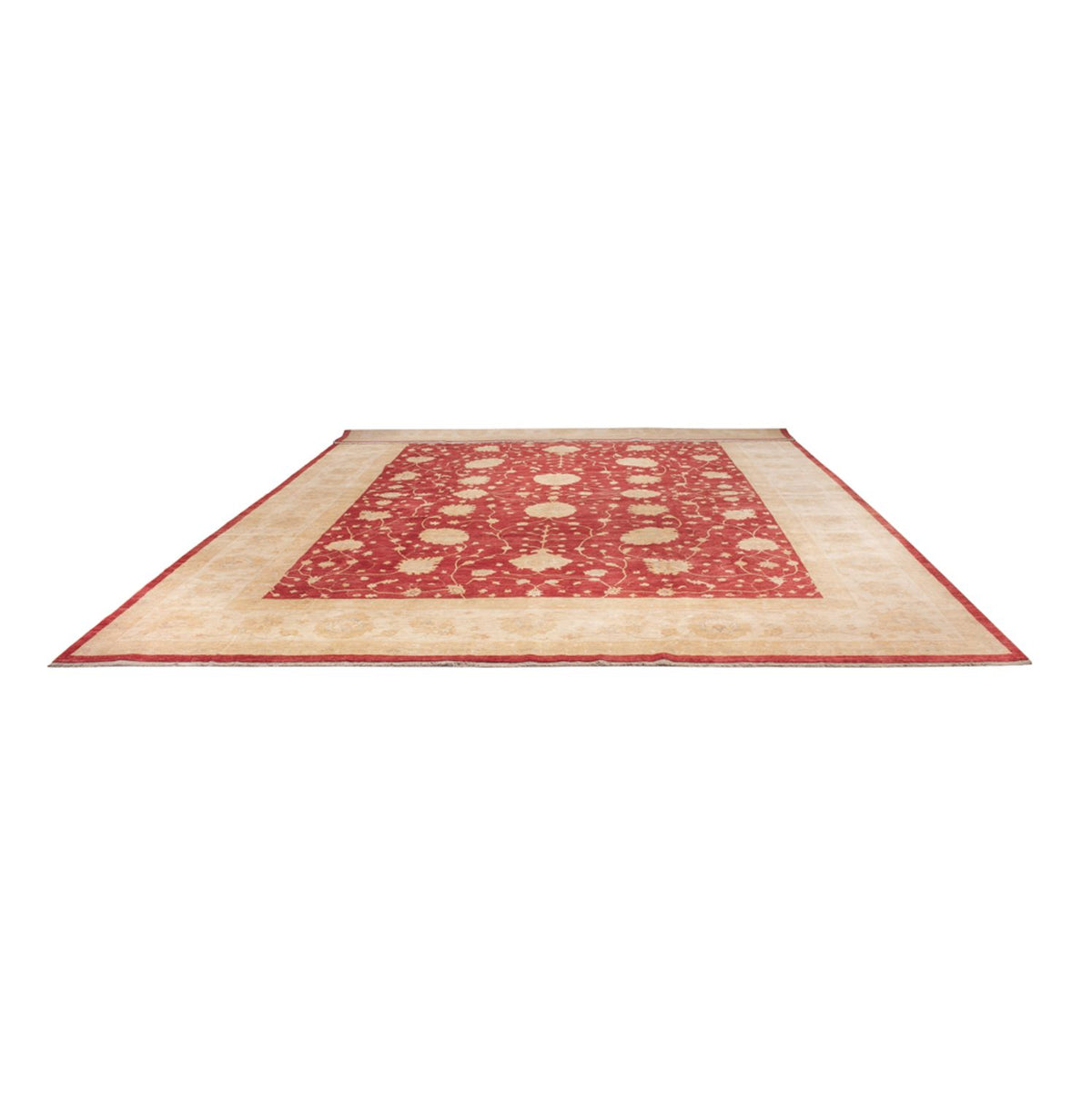 Alfombra Ziegler - 521 x 400 cm - beige