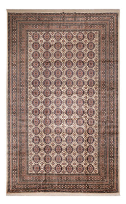 Alfombra afgana - 492 x 303 cm - beige oscuro