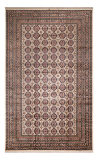 Alfombra afgana - 492 x 303 cm - beige oscuro