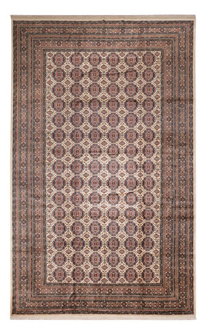 Alfombra afgana - 492 x 303 cm - beige oscuro