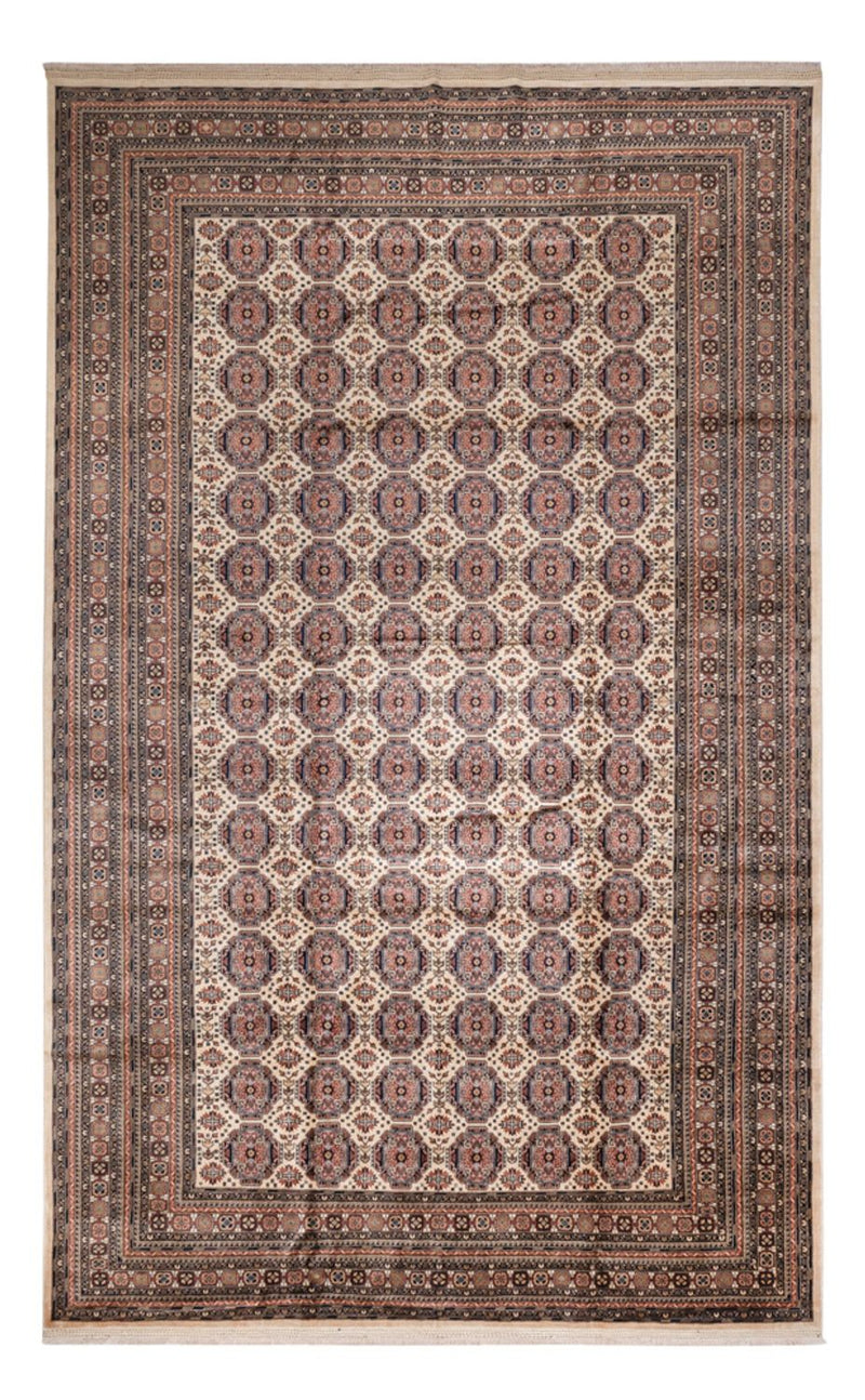 Alfombra afgana - 492 x 303 cm - beige oscuro