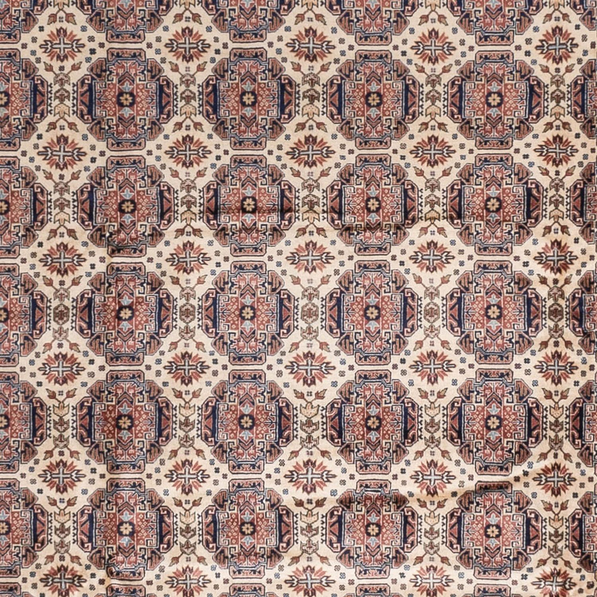 Alfombra afgana - 492 x 303 cm - beige oscuro