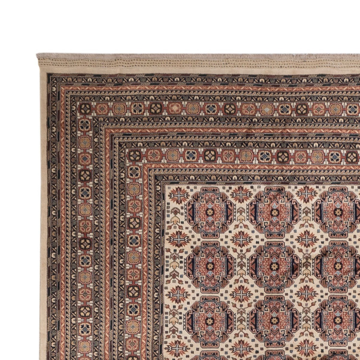 Alfombra afgana - 492 x 303 cm - beige oscuro