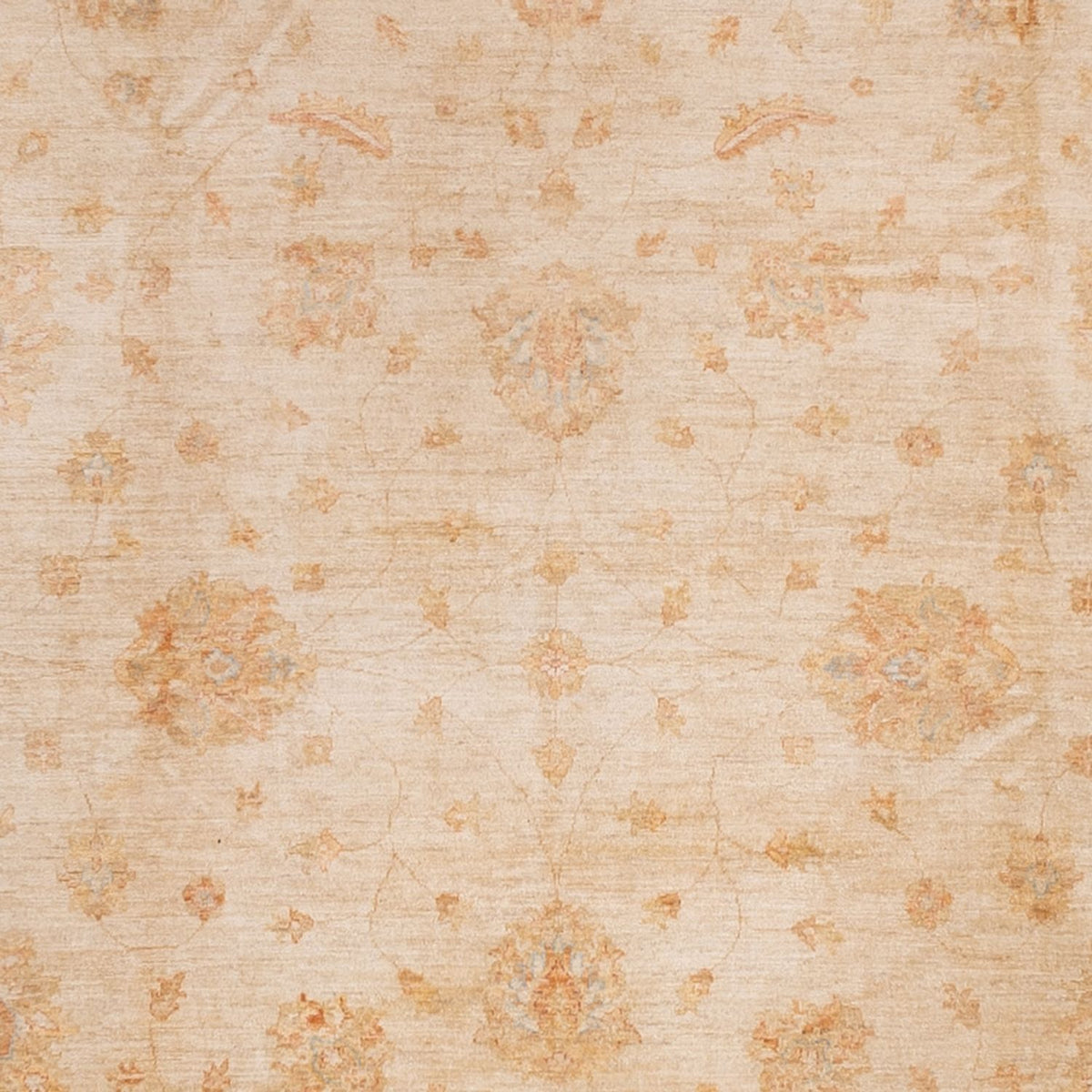 Alfombra Ziegler - 541 x 348 cm - beige
