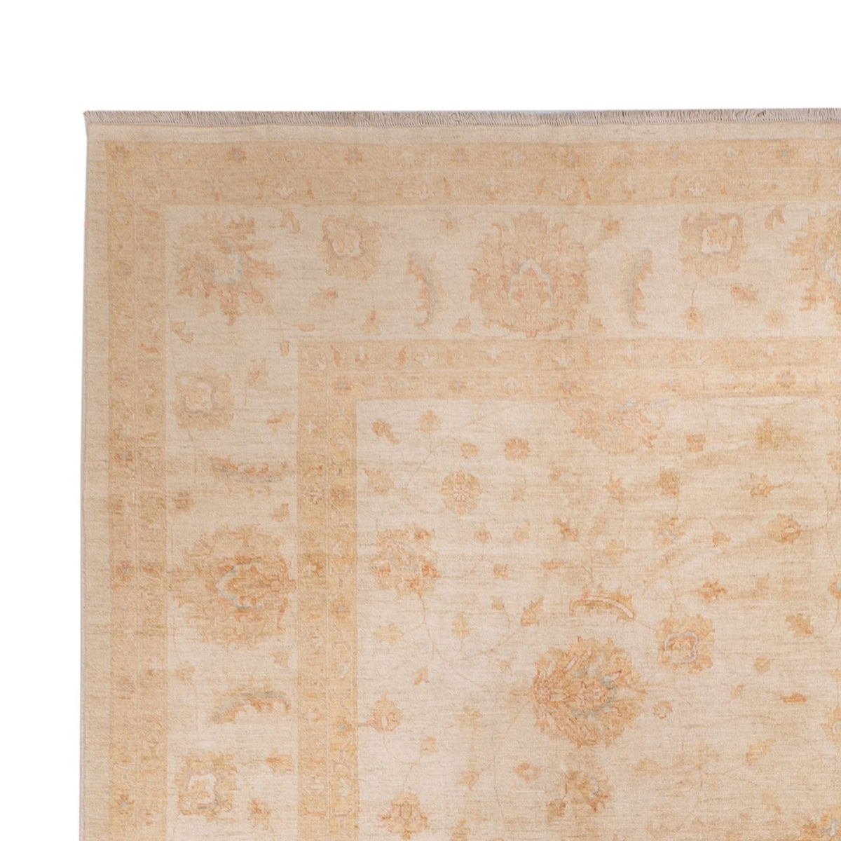 Alfombra Ziegler - 541 x 348 cm - beige