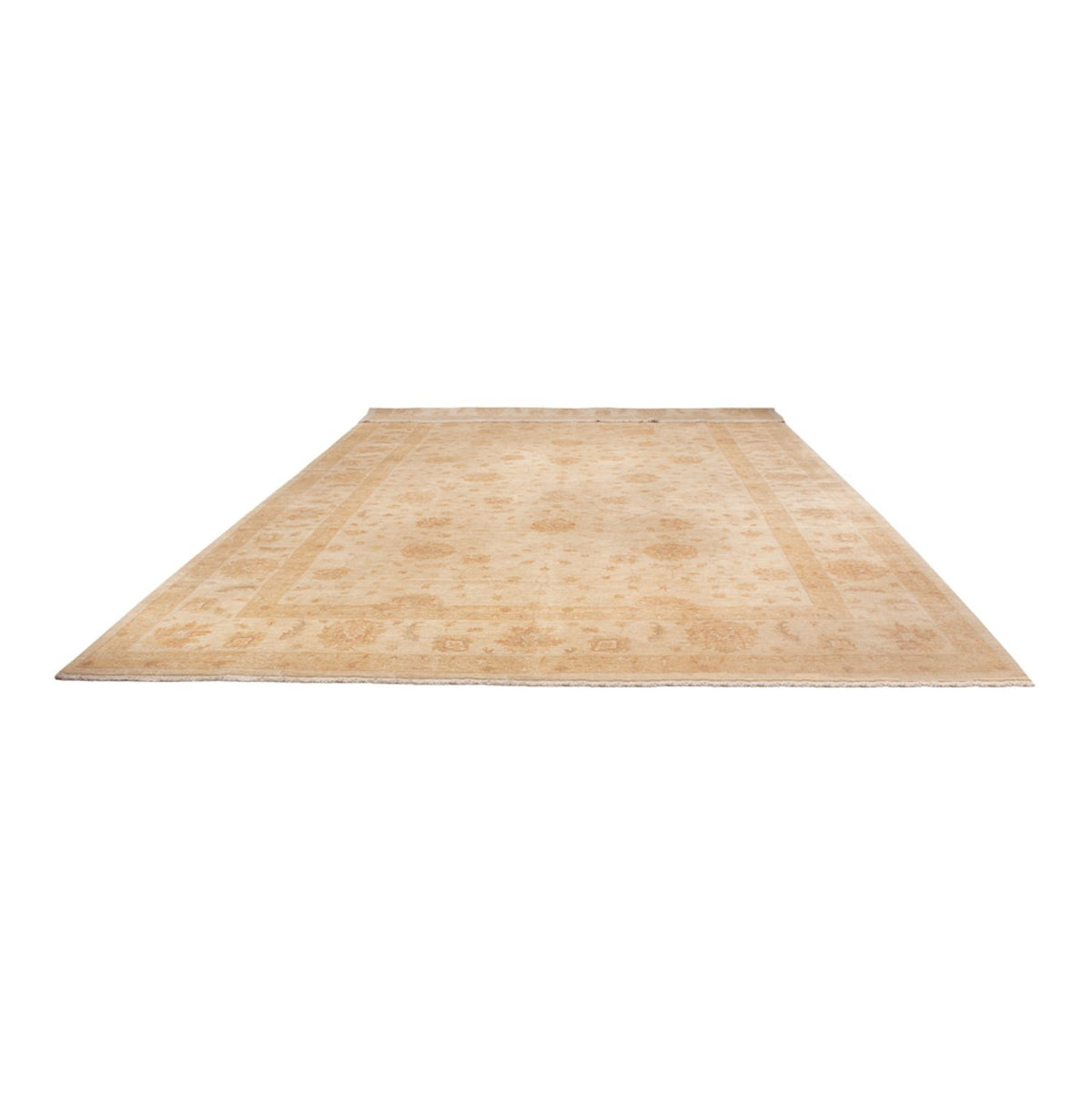 Alfombra Ziegler - 541 x 348 cm - beige