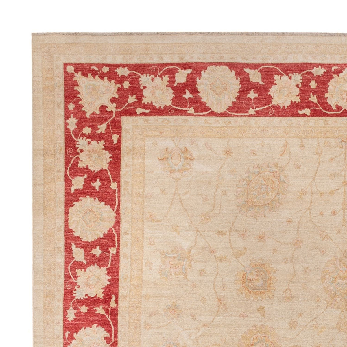 Alfombra Ziegler cuadrado  - 394 x 398 cm - beige