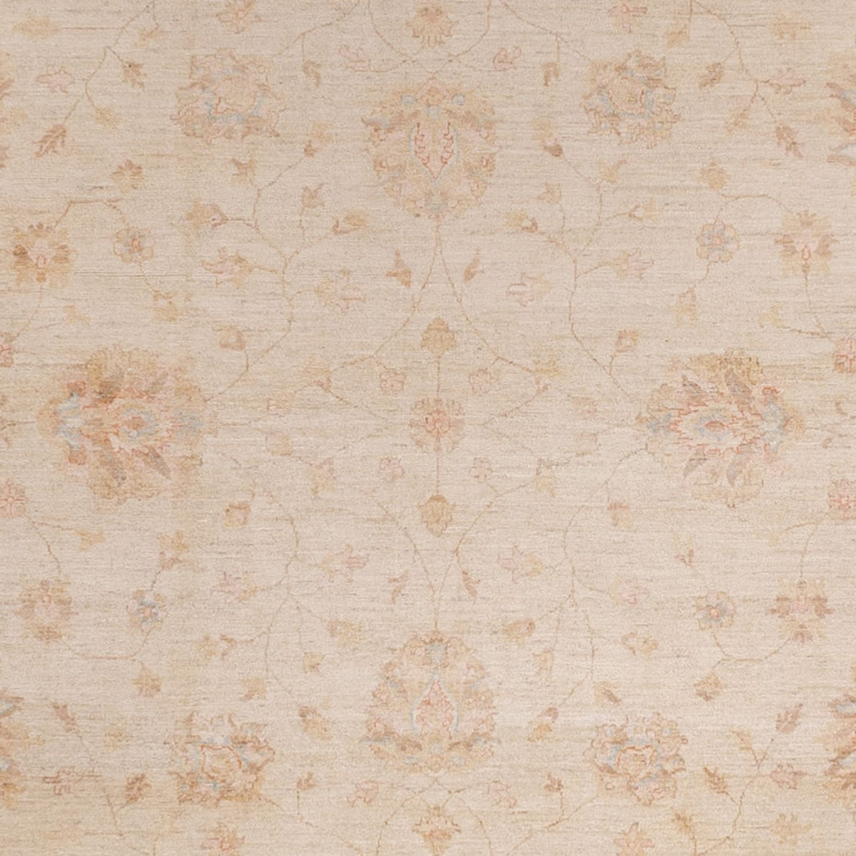 Alfombra Ziegler - 487 x 301 cm - beige
