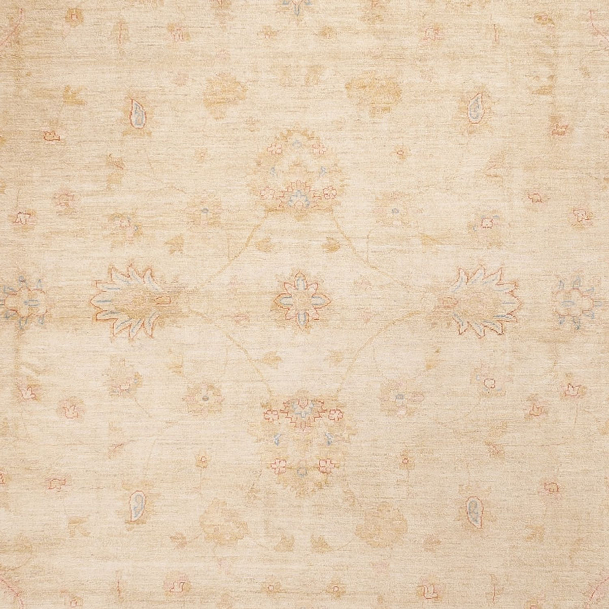 Alfombra Ziegler - 488 x 398 cm - beige