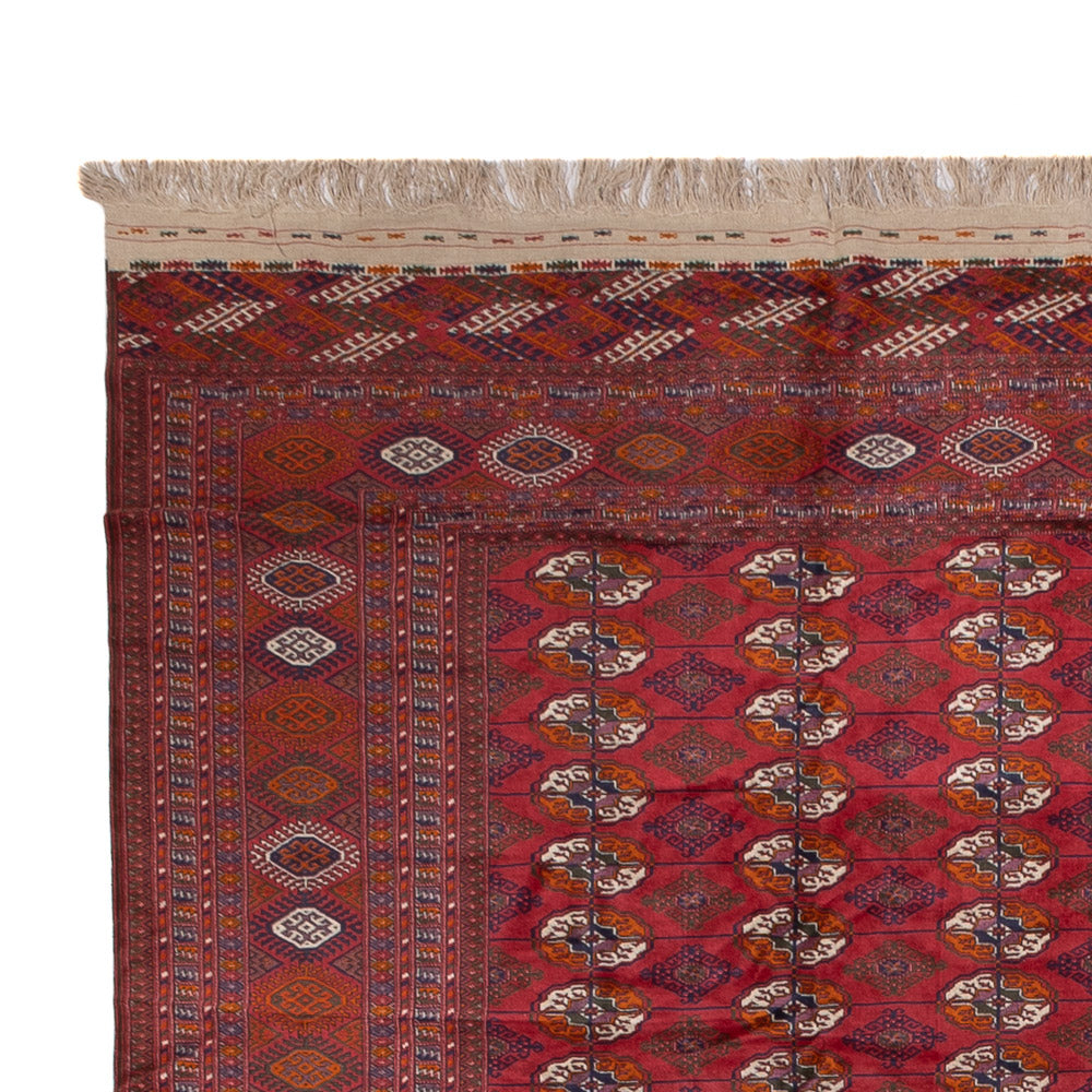 Bukhara Alfombra 308x505cm - Alfombra oriental
