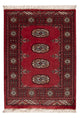Alfombra Pakistani 85x64cm - Alfombra oriental