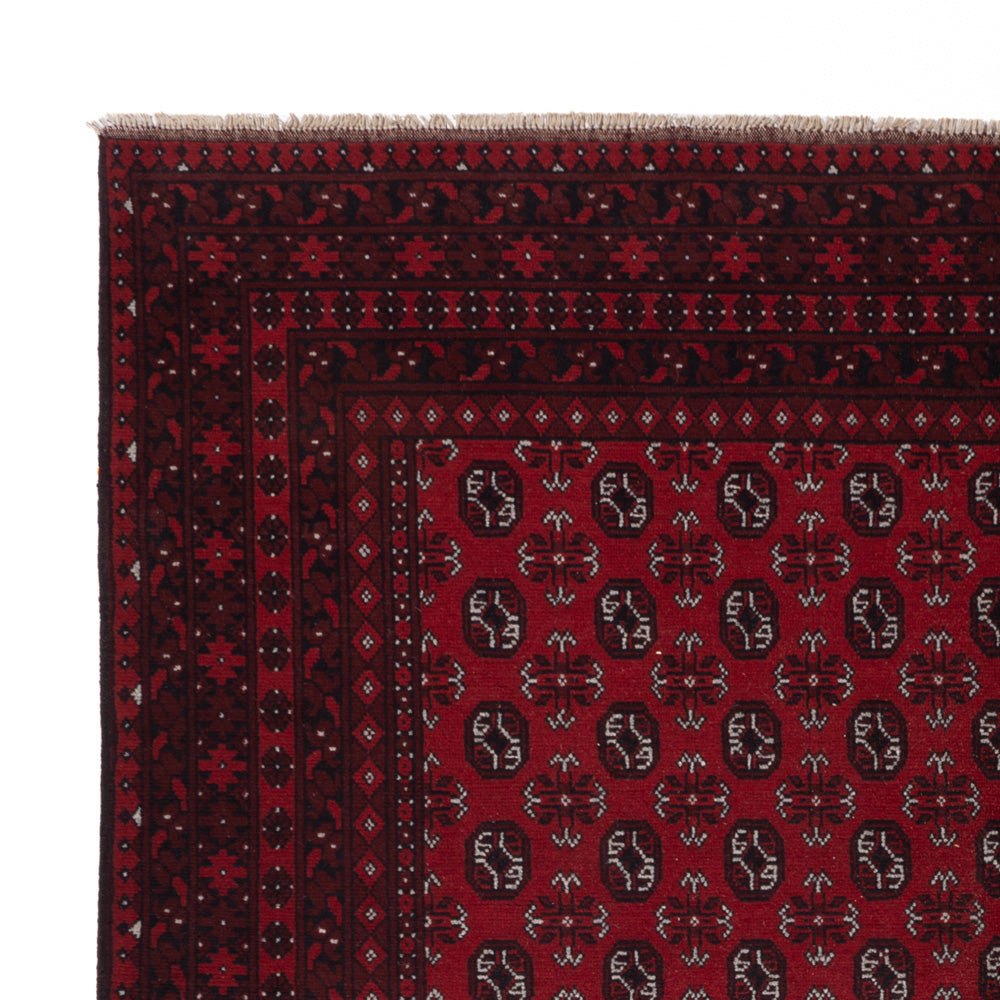 Akhche Alfombra 245x302cm - Alfombra oriental