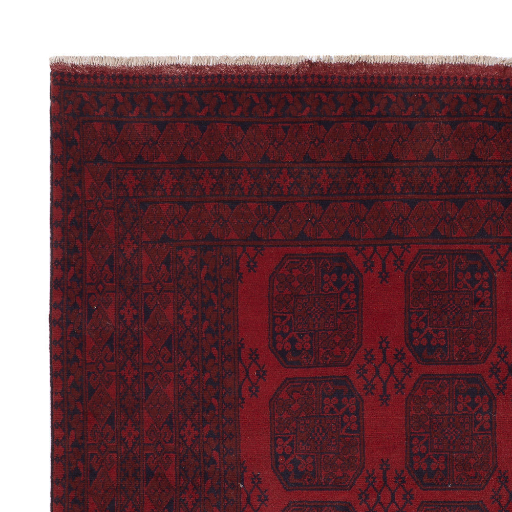 Akhche Alfombra 344x265cm - Alfombra oriental
