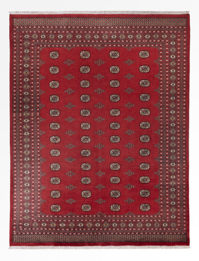 Alfombra Pakistani 251x331cm - Alfombra oriental