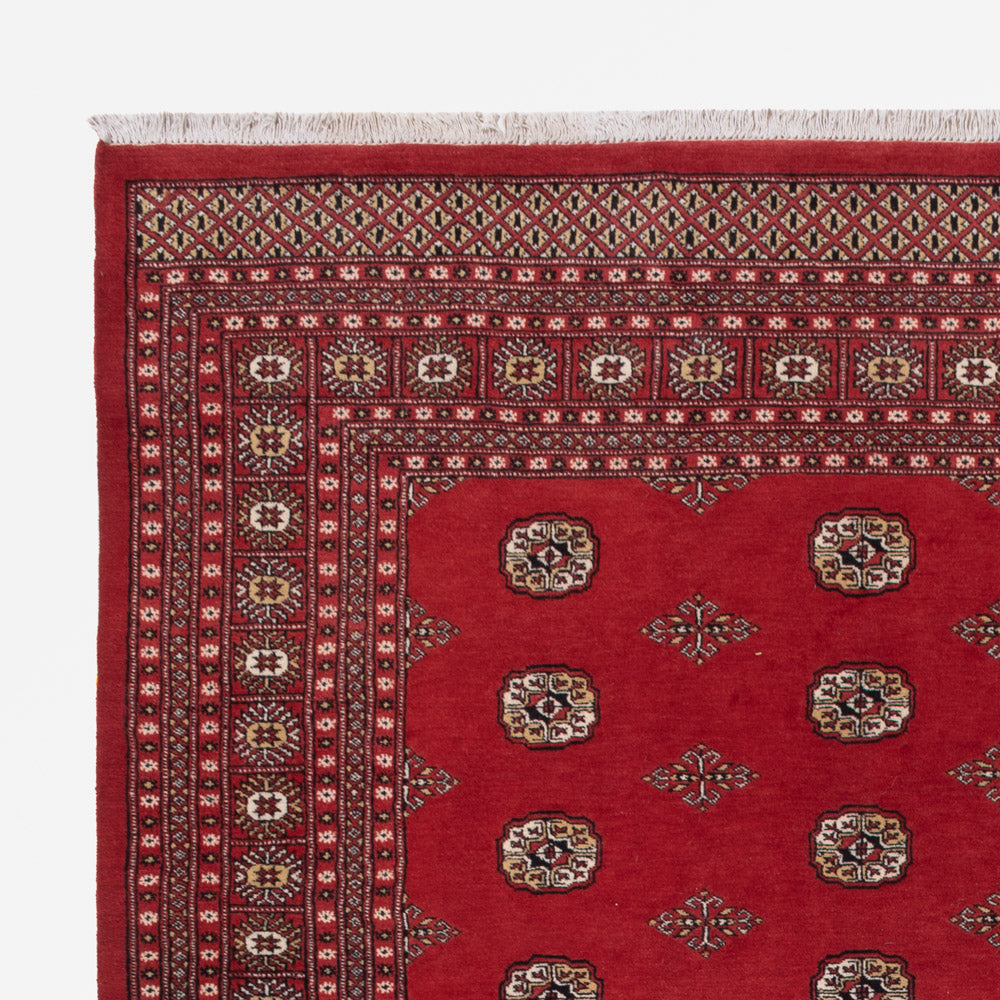 Alfombra Pakistani 331x251cm - Alfombra oriental