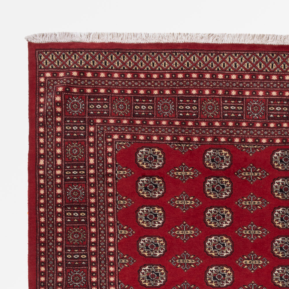 Alfombra Pakistani 248x318cm - Alfombra oriental