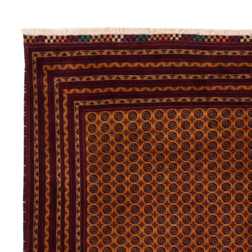 Alfombra afgana 251x334cm - Alfombra oriental