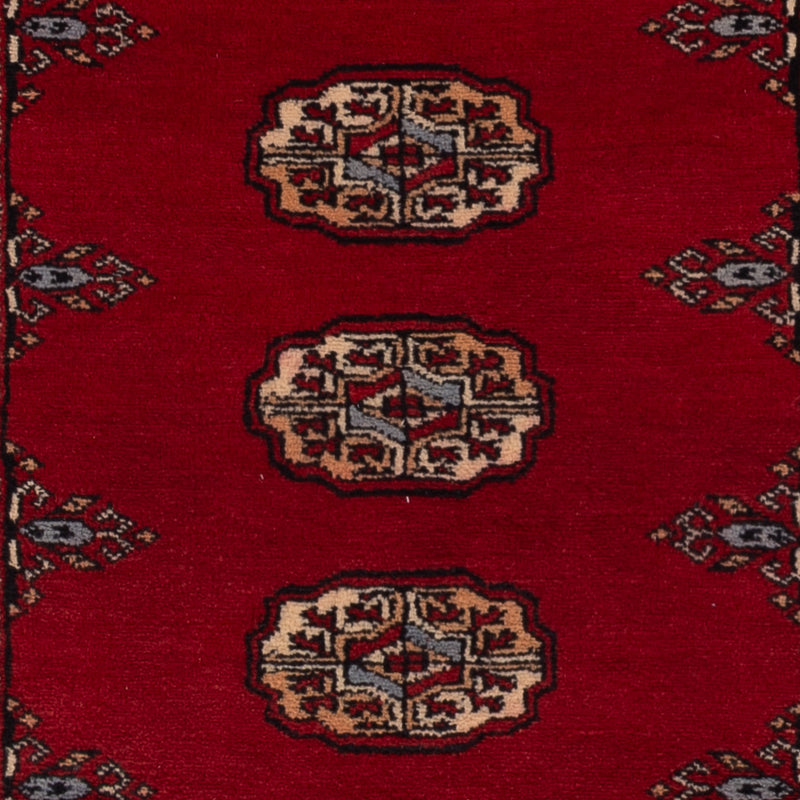 Alfombra de pasillo Alfombra Pakistani - 197 x 78 cm - rojo