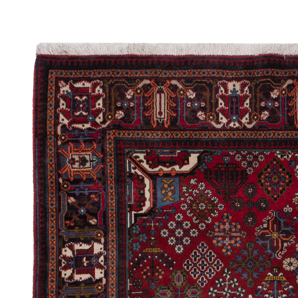 Meymeh Alfombra 248x160cm - Alfombra persa