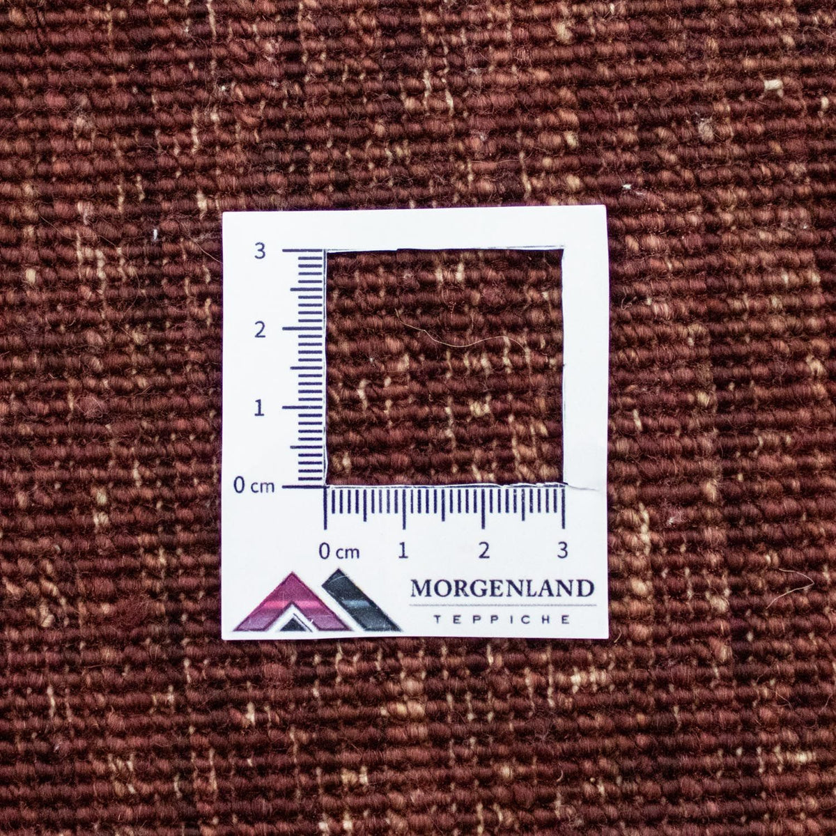 Alfombra Ziegler - 237 x 172 cm - colorido