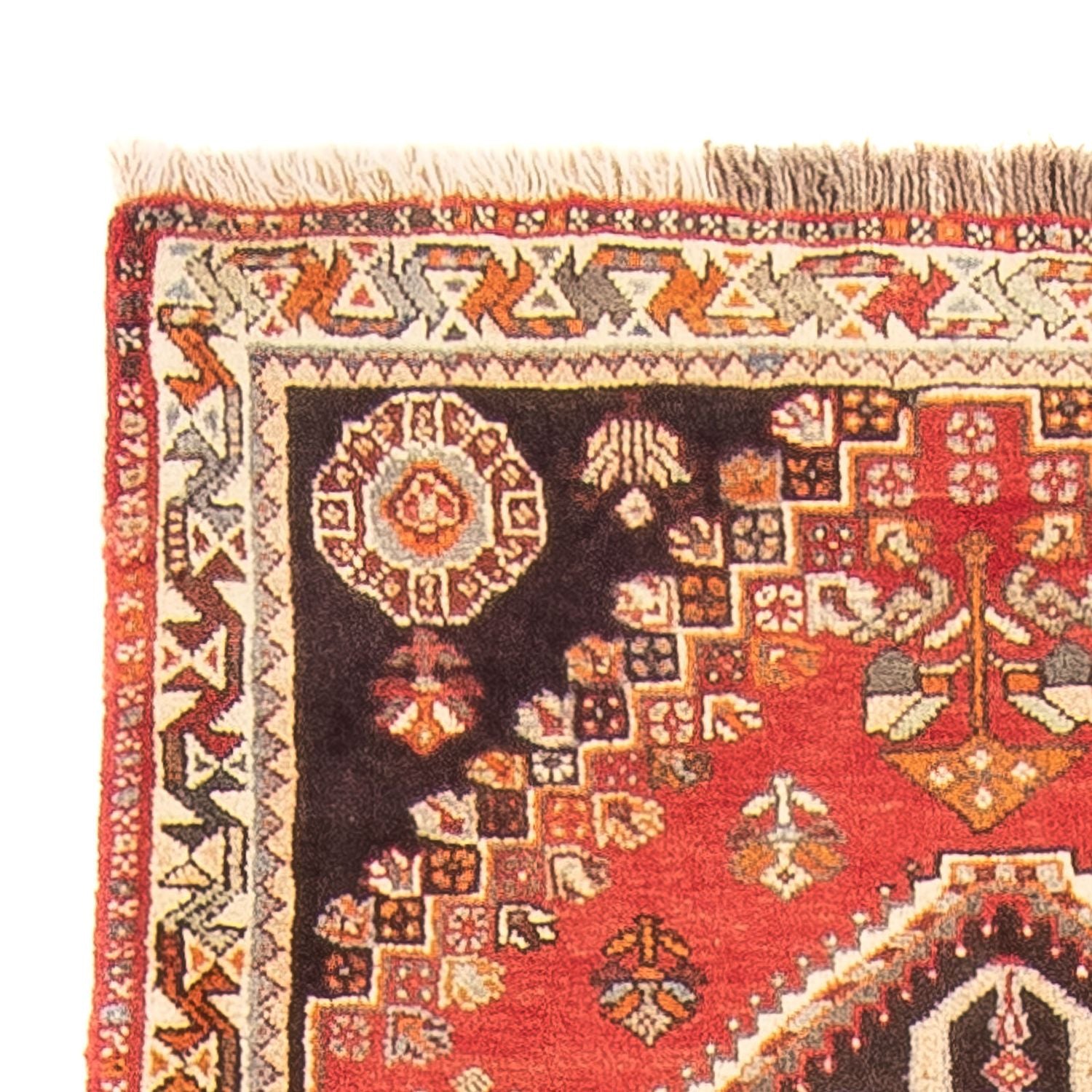 Alfombra de pasillo Alfombra persa - Nómada - 160 x 83 cm - rojo