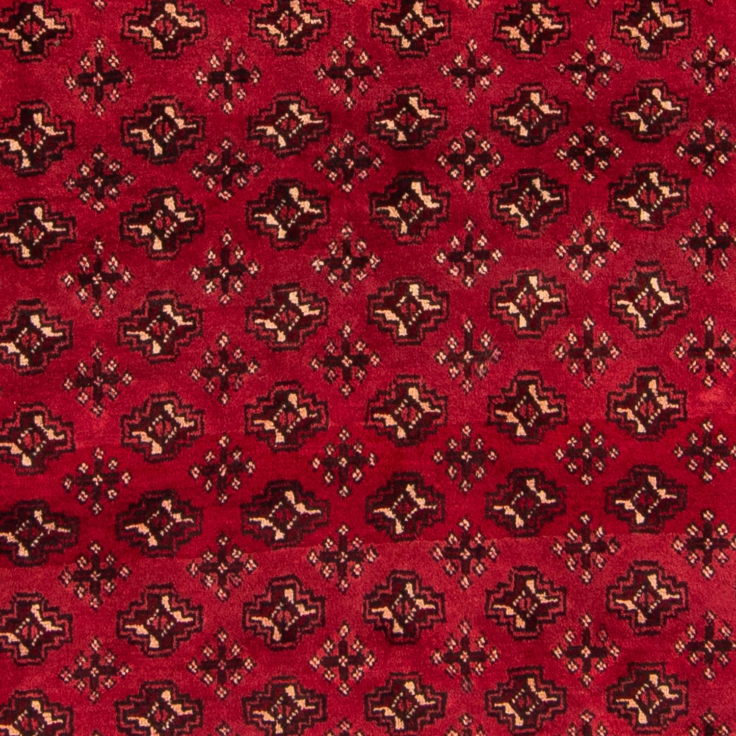 Alfombra Turkaman - 239 x 130 cm - rojo