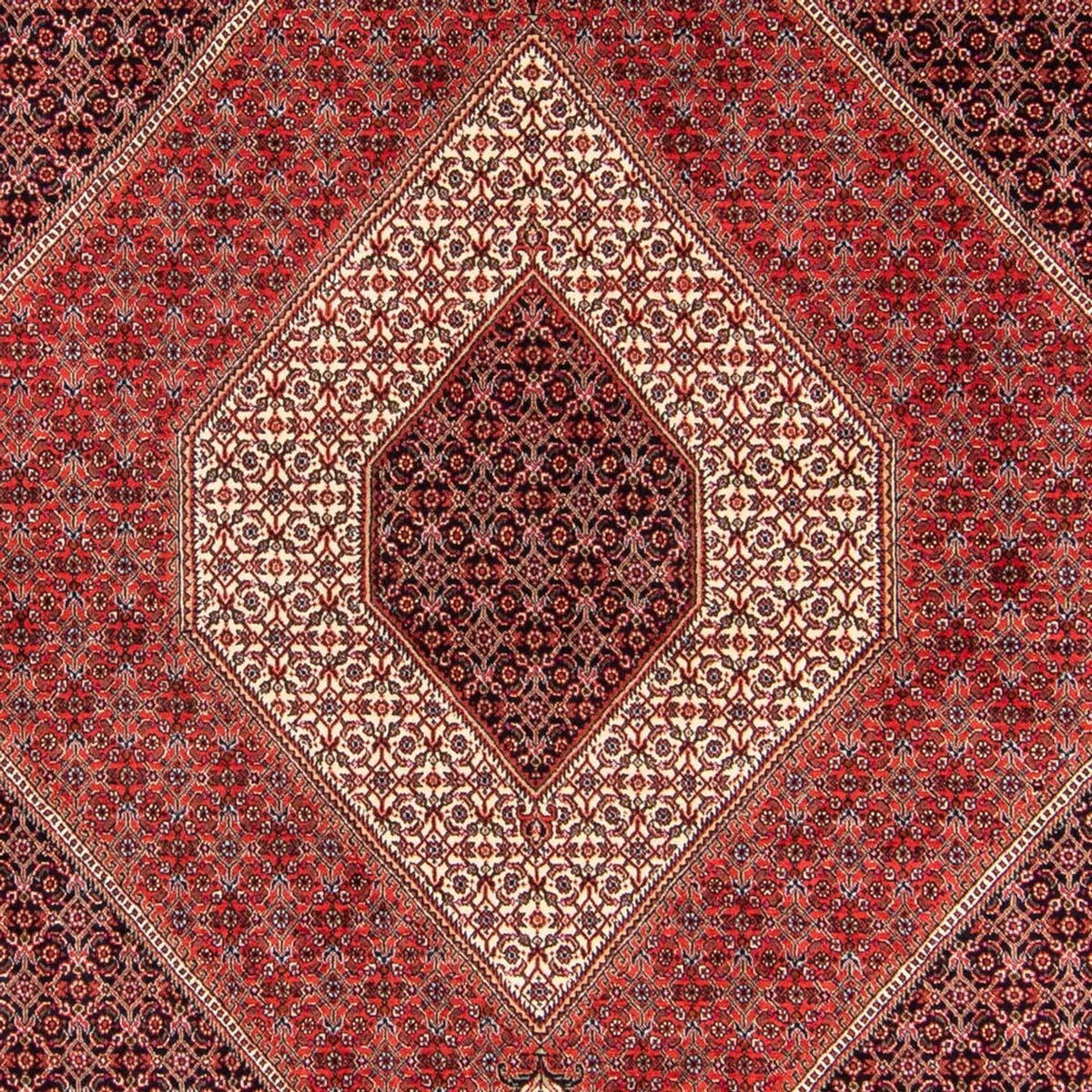 Alfombra persa - Bidjar - 240 x 175 cm - rojo