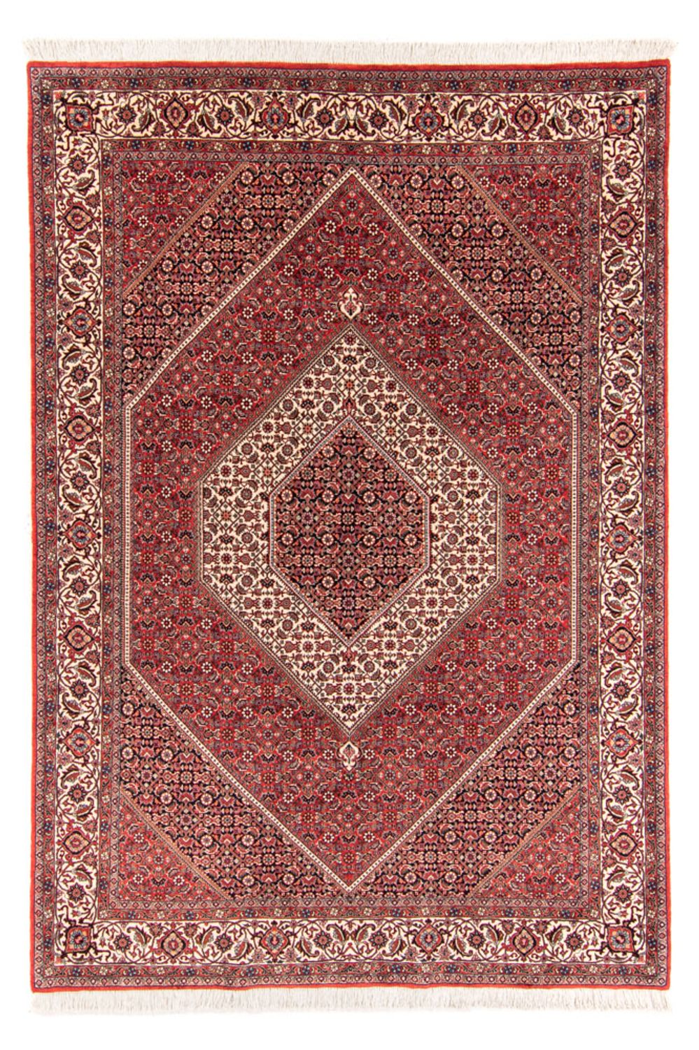Alfombra persa - Bidjar - 252 x 174 cm - rojo