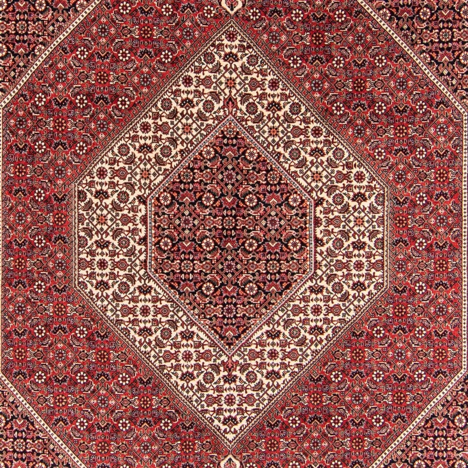Alfombra persa - Bidjar - 252 x 174 cm - rojo