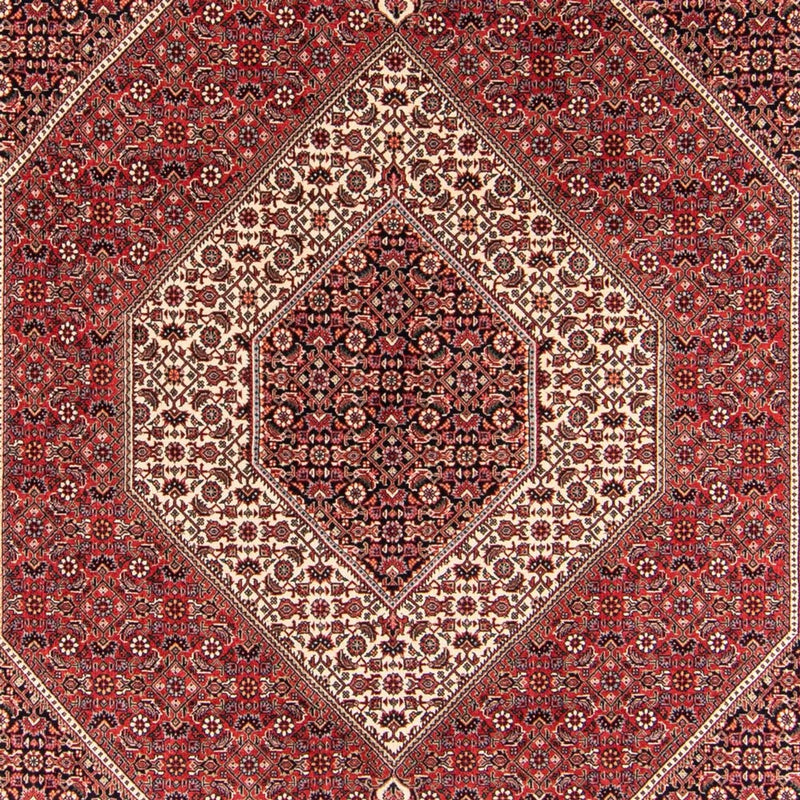 Alfombra persa - Bidjar - 252 x 174 cm - rojo