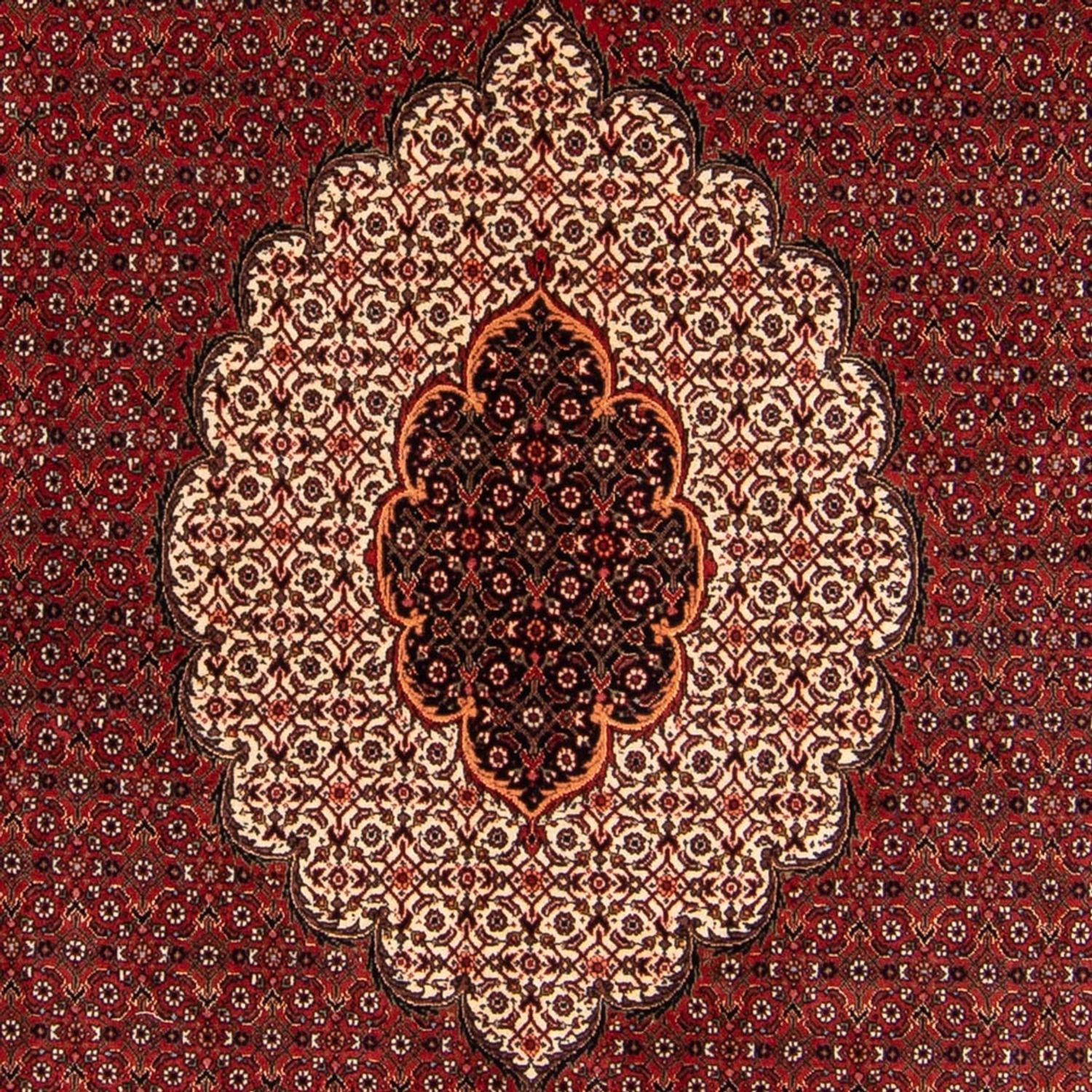 Alfombra persa - Bidjar - 234 x 168 cm - rojo