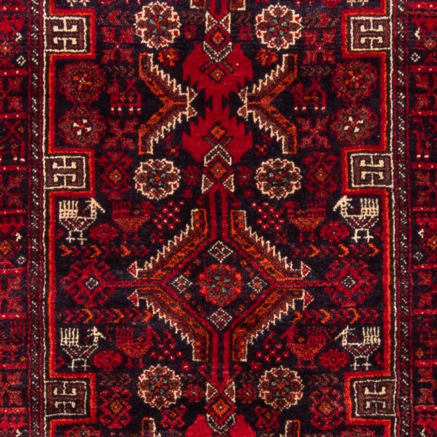 Alfombra de pasillo Alfombra Belutsch - 182 x 96 cm - rojo