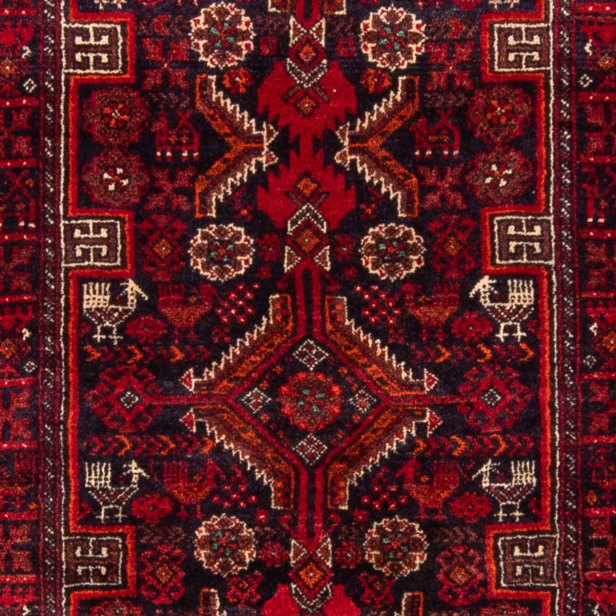 Alfombra de pasillo Alfombra Belutsch - 182 x 96 cm - rojo